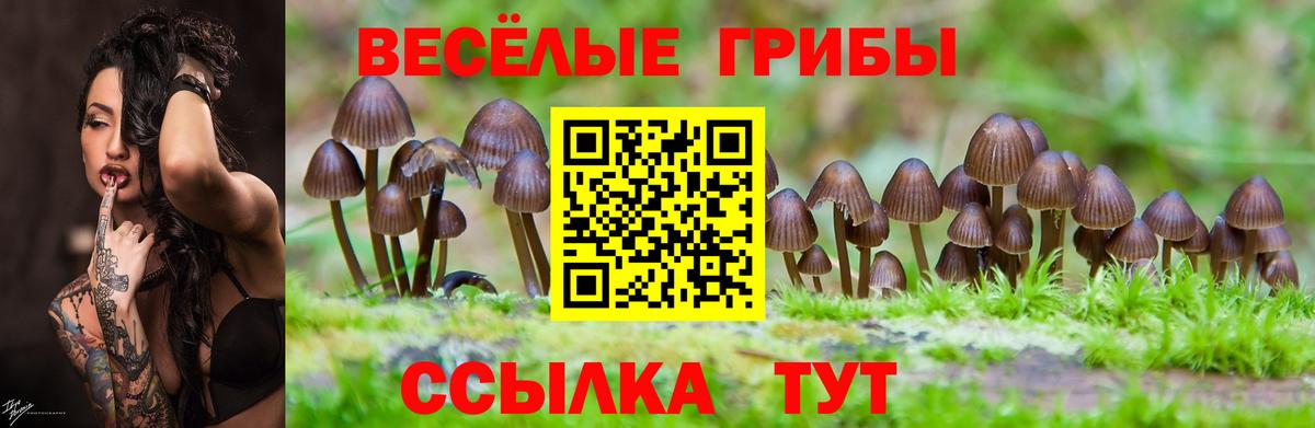 Псилоцибиновые грибы ЛСД  Вход с VPN  продажа наркотиков  Псилоцибиновые грибы MAGIC MUSHROOMS  Нижний Новгород 